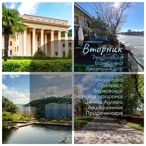          🏡 